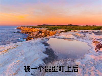 被一个混蛋盯上后免费小说（沈仲楚静）全文免费阅读无弹窗大结局_沈仲楚静最新章节列表_笔趣阁
