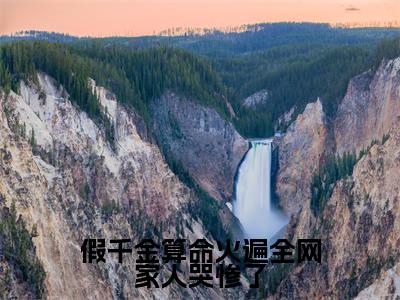 小说盛新月全文免费阅读无弹窗大结局_假千金算命火遍全网家人哭惨了完整阅读
