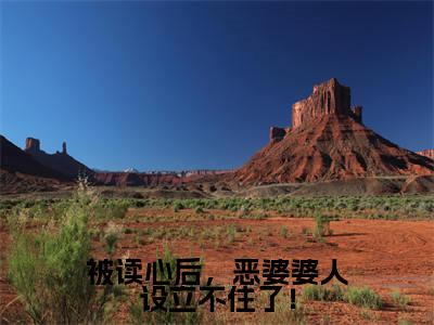 被读心后，恶婆婆人设立不住了！全文免费阅读_（被读心后，恶婆婆人设立不住了！）江晚最新小说_笔趣阁