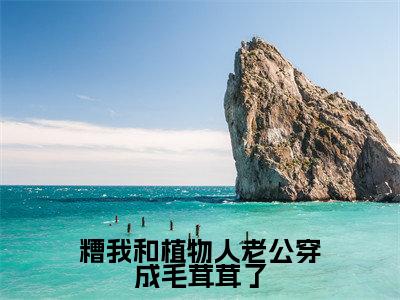 糟我和植物人老公穿成毛茸茸了(段乘鸢)小说全文无删减版_糟我和植物人老公穿成毛茸茸了最新章节列表_笔趣阁(段乘鸢)