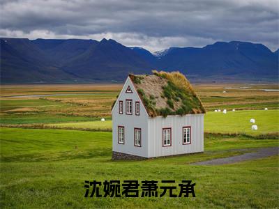 萧元承沈婉君（沈婉君萧元承）小说免费阅读无弹窗完整版_（沈婉君萧元承）萧元承沈婉君最新章节列表笔趣阁