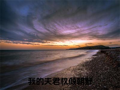 （苏薄江意）是什么小说-（我的夫君权倾朝野）无弹窗免费阅读大结局最新章节列表_笔趣阁