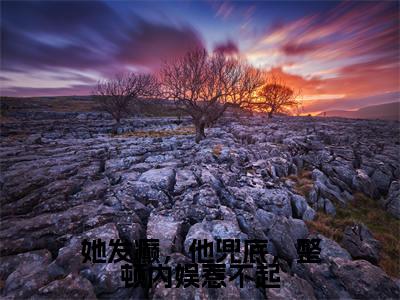 姜辞（她发癫，他兜底，整顿内娱惹不起）在哪免费看-小说（姜辞）她发癫，他兜底，整顿内娱惹不起全文完整版免费阅读