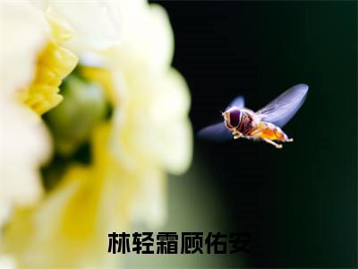 林轻霜顾佑安全文免费阅读无弹窗大结局_（顾佑安林轻霜）林轻霜顾佑安热门章节在线阅读笔趣阁（顾佑安林轻霜）