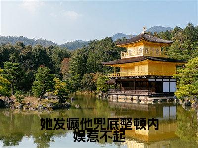 小说她发癫他兜底整顿内娱惹不起（姜辞）免费阅读-小说她发癫他兜底整顿内娱惹不起全文在线赏析