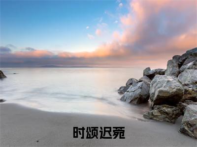 《时颂迟菀》迟菀时颂（大结局小说全集完整版）迟菀时颂小说_时颂迟菀全文阅读笔趣阁