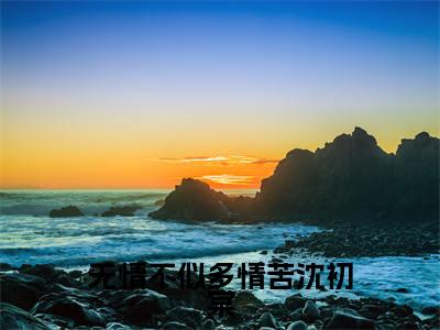 主角是陆辞安沈初棠的小说-无情不似多情苦沈初棠全章节在线阅读