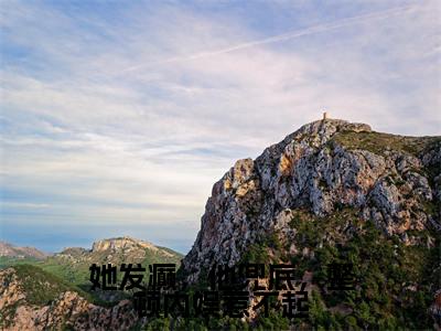她发癫，他兜底，整顿内娱惹不起（姜辞）全文免费阅读-小说她发癫，他兜底，整顿内娱惹不起大结