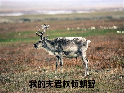我的夫君权倾朝野（苏薄江意）全文免费阅读无弹窗大结局_（我的夫君权倾朝野）最新章节列表_笔趣阁