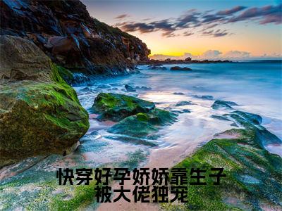 林颜(快穿好孕娇娇靠生子被大佬独宠)全文免费阅读无弹窗大结局_林颜最新章节列表_笔趣阁(快穿好孕娇娇靠生子被大佬独宠)