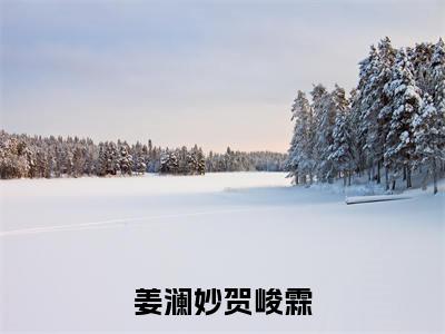 姜澜妙贺峻霖（姜澜妙贺峻霖）小说全文免费阅读-姜澜妙贺峻霖（姜澜妙贺峻霖）免费在线阅读完整版