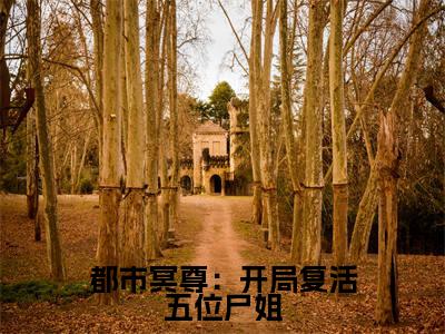 都市冥尊:开局复活五位尸姐(大结局小说全集完整版)林淼鑫小说_都市冥尊:开局复活五位尸姐全文阅读笔趣阁(后续)+(全文)