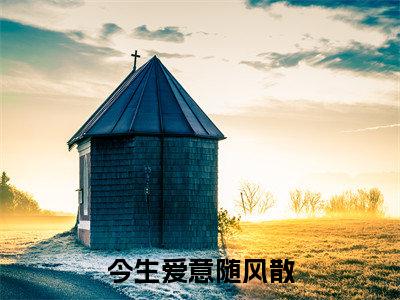 张崇宇贺心甜小说在线阅读（今生爱意随风散）全文免费阅读无弹窗大结局_张崇宇贺心甜小说免费最新章节列表