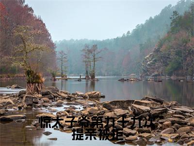 芸娘江清宁小说大结局免费阅读-惊太子爷第九十九次提亲被拒抖音新上热文分享芸娘江清宁