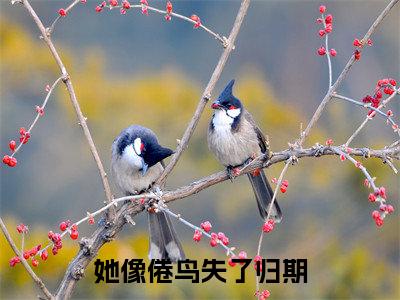 她像倦鸟失了归期（谢司珩沈黛樱）全文免费阅读无弹窗大结局_她像倦鸟失了归期最新章节列表（谢司珩沈黛樱）