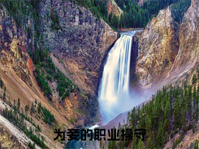 叶青芷（为妾的职业操守）独家首发免费小说-（叶青芷）为妾的职业操守小说全文在线阅读笔趣阁