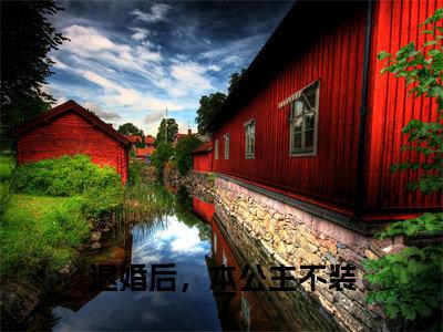 退婚后，本公主不装了（虞清颜谢云淮）免费阅读无弹窗大结局_退婚后，本公主不装了小说（虞清颜谢云淮）免费阅读最新章节列表