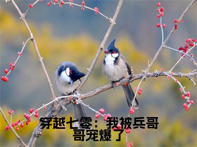(叶荞陆向北)热门美文阅读_热门小说穿越七零:我被兵哥哥宠爆了主人公是(叶荞陆向北)最新章节限时观看_笔趣阁