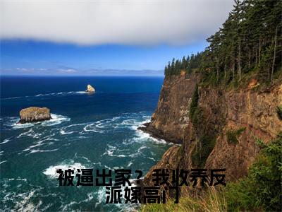 被逼出家?我收养反派嫁高门小说(曹舒月)全文在线阅读无弹窗大结局被逼出家?我收养反派嫁高门