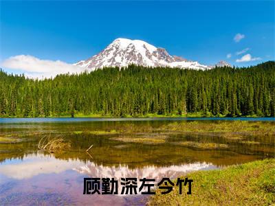 顾勤深左今竹(左今竹顾勤深)小说全文免费阅读无弹窗大结局_顾勤深左今竹全文在线阅读无弹窗