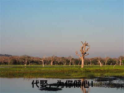 代娶,为你倾心!:楚云飞穆霜儿全文免费阅读无弹窗大结局_(代娶,为你倾心!)楚云飞穆霜儿最新章节列表笔趣阁