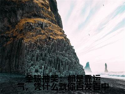 陈亦川（陈亦川）全文免费阅读无弹窗大结局_全球抽奖：都是靠运气，凭什么就你百发百中最新章节列表