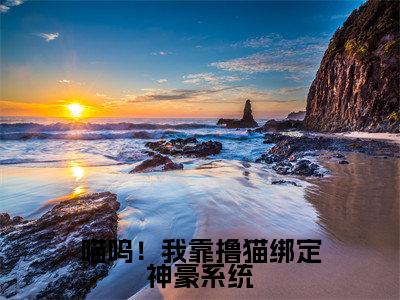 小说喵呜!我靠撸猫绑定神豪系统(乔奚全文免费阅读)完结阅读_乔奚全文免费阅读免费看全文