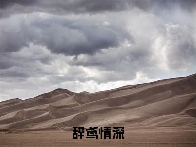辞鸢情深最新章节（阮鸢季柯）小说推荐阅读-新书辞鸢情深精彩阅读