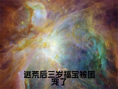 逃荒后三岁福宝被团宠了在线阅读无弹窗_叶晴天最新章节列表_笔趣阁