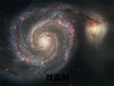 宋玖禾小说(戏鸾凤)全文免费阅读无弹窗大结局_戏鸾凤小说最新章节列表_笔趣阁(宋玖禾)
