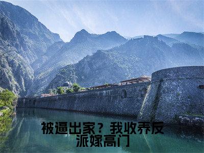 被逼出家？我收养反派嫁高门最新章节（曹舒月）小说推荐阅读-新书被逼出家？我收养反派嫁高门精彩阅读