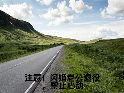 注意!闪婚老公退役,禁止心动(花半夏时峥)全文免费阅读_注意!闪婚老公退役,禁止心动最新章节小说免费阅读_笔趣阁
