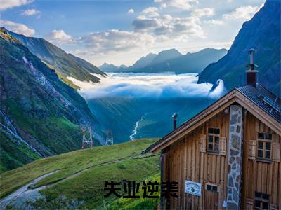 （李皓）失业逆袭全文免费阅读无弹窗大结局_失业逆袭最新章节列表笔趣阁（李皓）