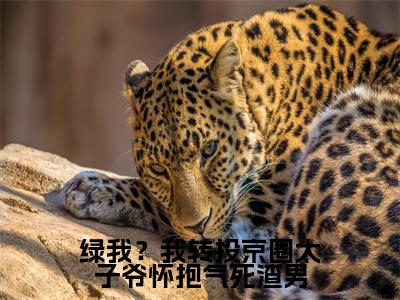 绿我？我转投京圈太子爷怀抱气死渣男（林清桐）全文免费阅读无弹窗大结局_绿我？我转投京圈太子爷怀抱气死渣男最新章节列表-笔趣阁林清桐