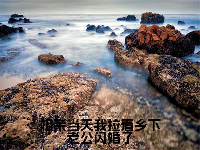姜禾（相亲当天我拉着乡下老公闪婚了）全文在线免费阅读无弹窗_姜禾最新章节列表_笔趣阁