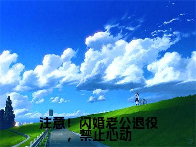 注意！闪婚老公退役，禁止心动全文免费阅读大结局-（花半夏时峥）最新章节列表在线阅读
