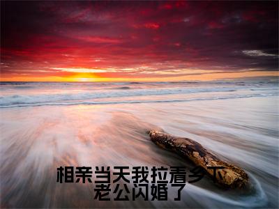 相亲当天我拉着乡下老公闪婚了（姜禾精彩美文）免费阅读-小说姜禾最后结局如何