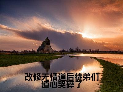 （宁心赢）全文免费阅读无弹窗大结局_改修无情道后徒弟们道心哭碎了最新章节列表_笔趣阁