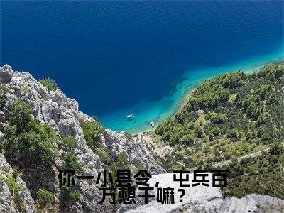 江元(你一小县令,屯兵百万想干嘛?)全文阅读-最火热点小说江元最新更新