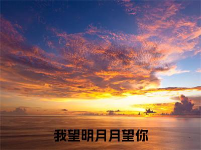 陆宴宋景钰全文免费阅读-全网首发小说我望明月月望你