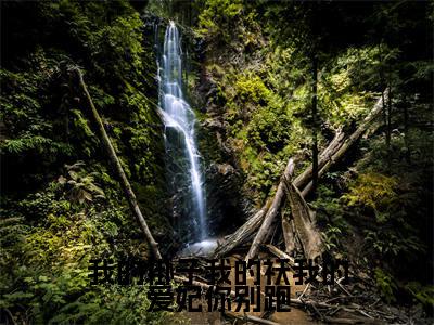 我的褂子我的袄我的爱妃你别跑全文免费阅读大结局_我的褂子我的袄我的爱妃你别跑全文免费阅读无弹窗_笔趣阁(苏千鹤)