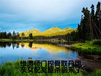 小说惨遭师门挖骨取丹炮灰女配觉醒杀回来了全文免费阅读无弹窗大结局_（薛清漪）全文在线阅读