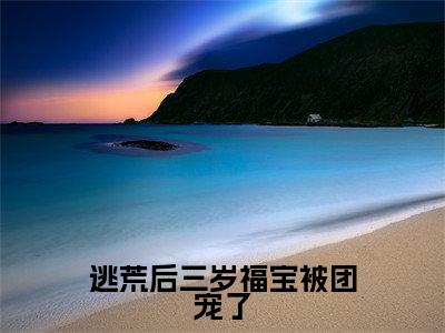 逃荒后三岁福宝被团宠了（叶晴天）完整版小说阅读_逃荒后三岁福宝被团宠了全文免费阅读最新章节列表_笔趣阁