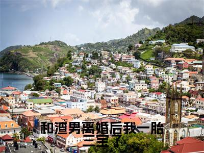 傅斯年夏灵小说全文免费阅读_傅斯年夏灵（和渣男离婚后我一胎三宝了）最新章节列表笔趣阁