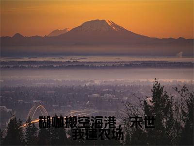 糊咖搬空海港,末世我建农场热门榜单小说苏舒完本小说无弹窗免费阅读