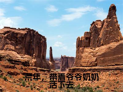 荒年，带着爷爷奶奶活下去是什么小说，荒年，带着爷爷奶奶活下去（岁禾）完整章节在线阅读