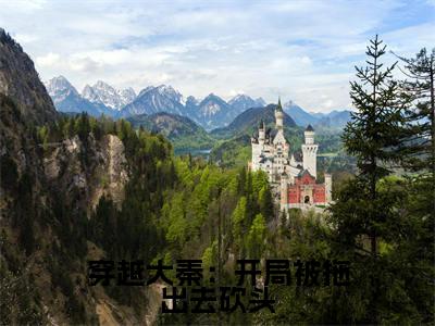 《穿越大秦：开局被拖出去砍头》无弹窗大结局-（秦易）无弹窗阅读最新章节列表_笔趣阁