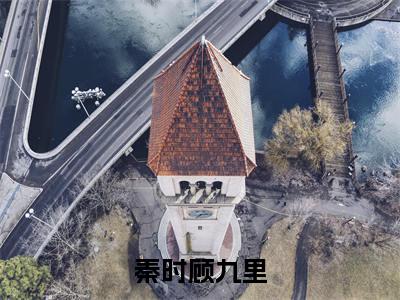 秦时顾九里小说大结局免费阅读，秦时顾九里抖音新上热文分享