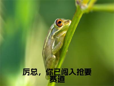 厉总,你已闯入抢妻赛道(沈雨琪厉泽宇)全文免费阅读无弹窗大结局_(厉总,你已闯入抢妻赛道全文免费阅读无弹窗)最新章节列表