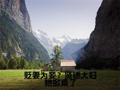 沈砚书容枝枝（贬妻为妾？贤德大妇她掀桌了）全文免费阅读无弹窗大结局_贬妻为妾？贤德大妇她掀桌了最新章节列表_笔趣阁